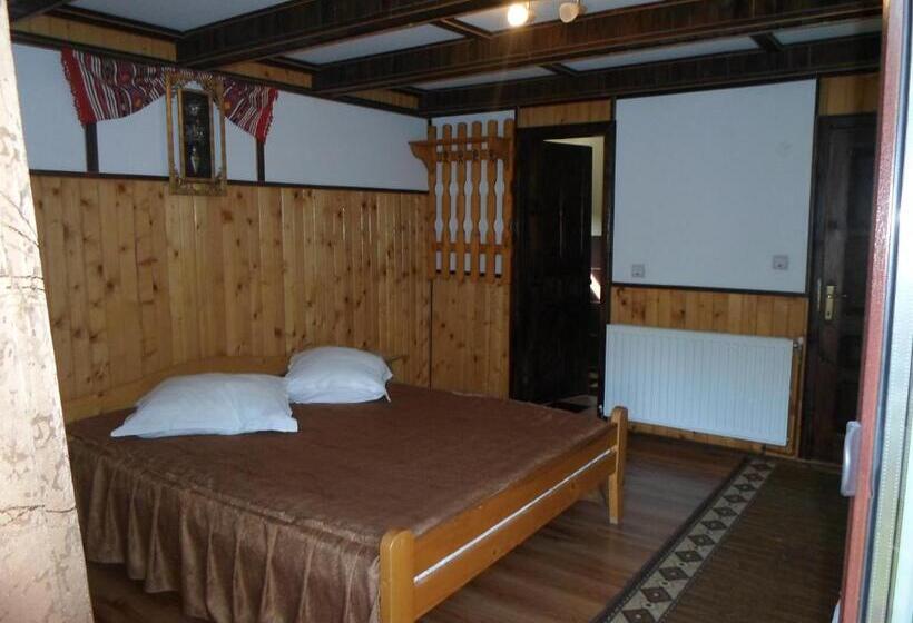 חדר סטנדרט, Pensiunea Puiu