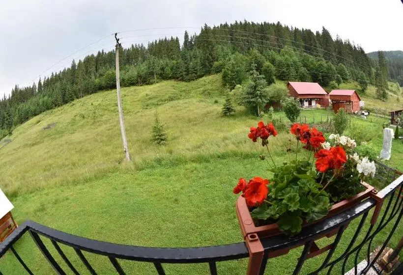 デラックスルーム, Casa Natalia Raisa Arieșeni