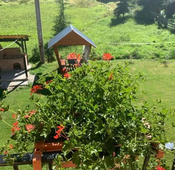 デラックスルーム, Casa Natalia Raisa Arieșeni
