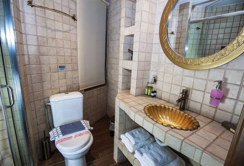 غرفة قياسية, Elia Portou Rooms