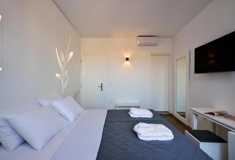 غرفة كلاسيكية, Elia Portou Rooms