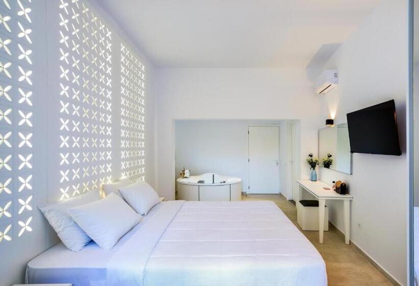 شقة ديلوكس غرفة واحدة, Elia Portou Rooms