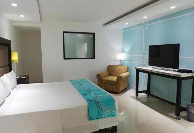 스탠다드 룸 킹사이즈 침대, Green 16