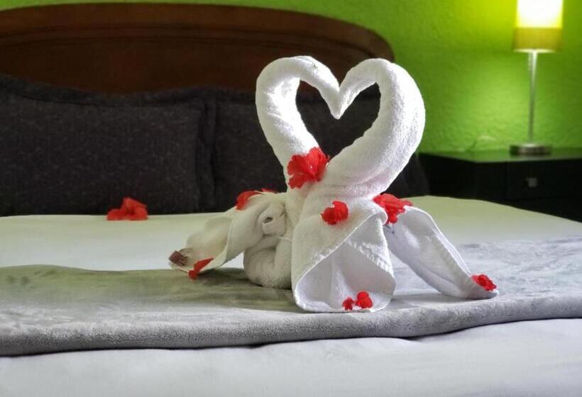 스탠다드 룸, Green 16