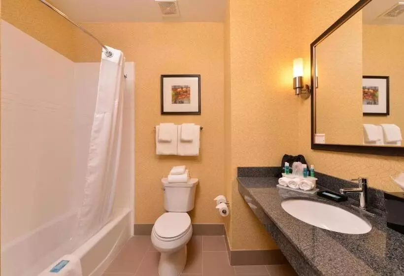 スタンダードルーム, Holiday Inn Express & Suites Bakersfield Airport, An Ihg