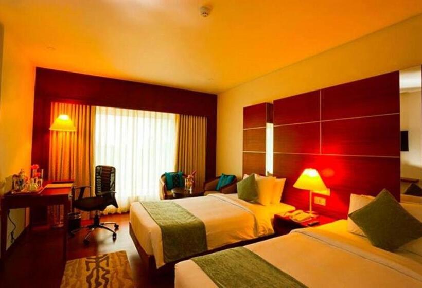 디럭스 룸, Olive Downtown