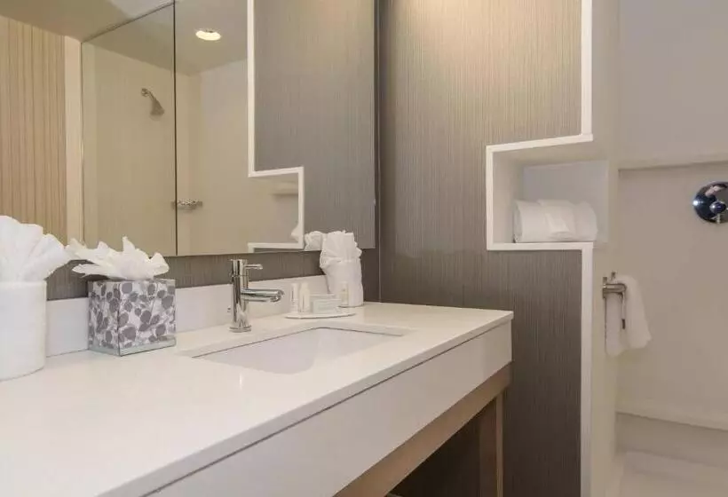 身障者適用キングサイズベッドルーム, Courtyard By Marriott Raleigh Durham Airport/brier Creek
