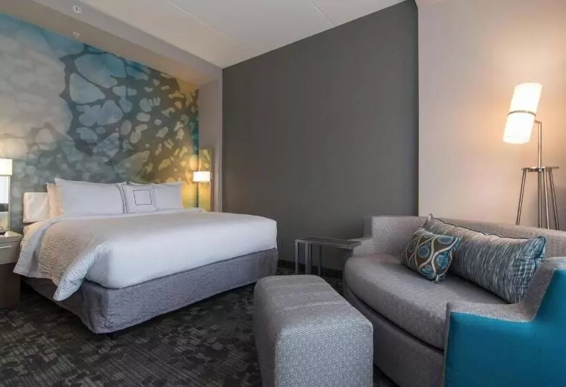 身障者適用キングサイズベッドルーム, Courtyard By Marriott Raleigh Durham Airport/brier Creek