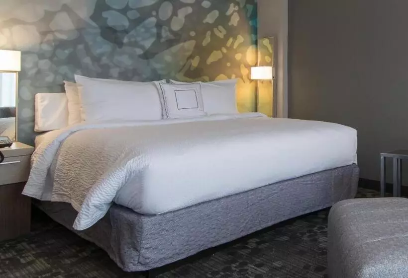 身障者適用キングサイズベッドルーム, Courtyard By Marriott Raleigh Durham Airport/brier Creek