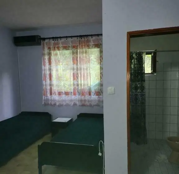 اتاق استاندارد چهار تخته, Samo Skreneš