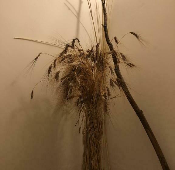 标准间, Verso Est