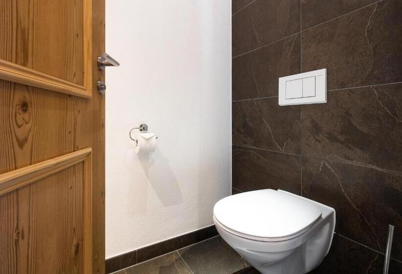 דירת שני חדרים, Das Wildkogel - Wildkogel Resorts