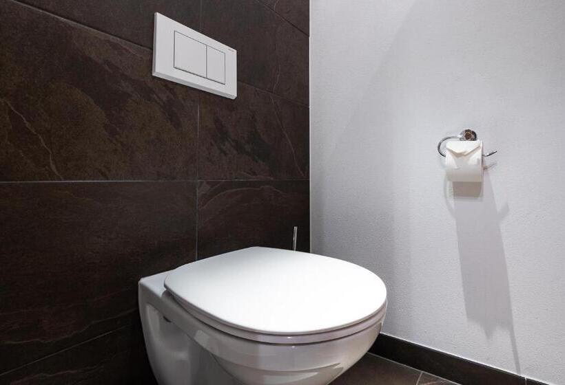 דירת שני חדרים, Das Wildkogel - Wildkogel Resorts