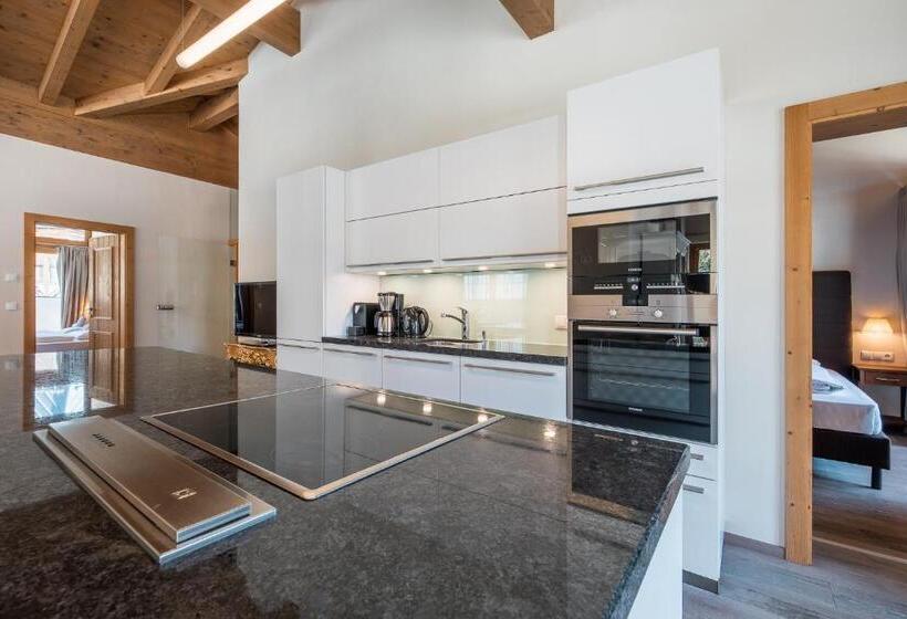 דירת פנטהאוז 1 חדרי שינה, Das Wildkogel - Wildkogel Resorts