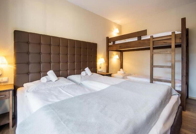 דירת שני חדרים, Das Wildkogel - Wildkogel Resorts