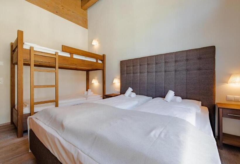 דירת פנטהאוז 1 חדרי שינה, Das Wildkogel - Wildkogel Resorts