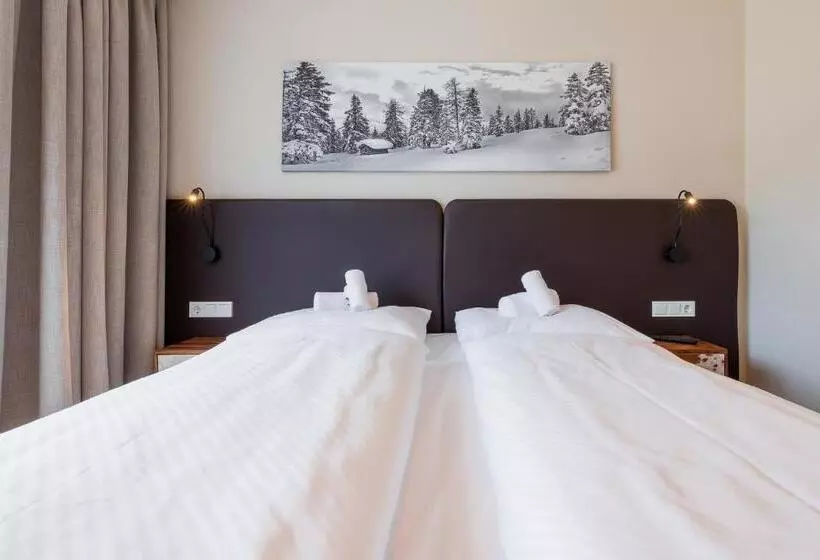 スタンダードスタジオ, Das Wildkogel - Wildkogel Resorts
