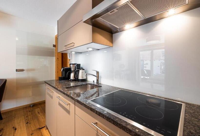 חדר סטודיו סטנדרד, Das Wildkogel - Wildkogel Resorts