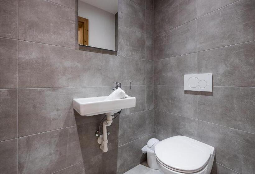 דירת פנטהאוז 1 חדרי שינה, Das Wildkogel - Wildkogel Resorts