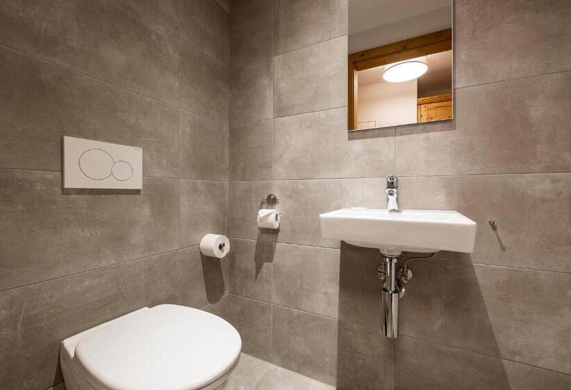 דירת שני חדרים, Das Wildkogel - Wildkogel Resorts