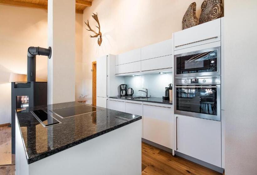 דירת פנטהאוז 1 חדרי שינה, Das Wildkogel - Wildkogel Resorts