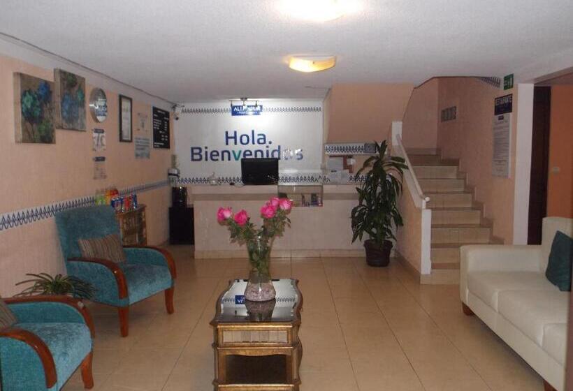 스탠다드 룸, Express Alejandria