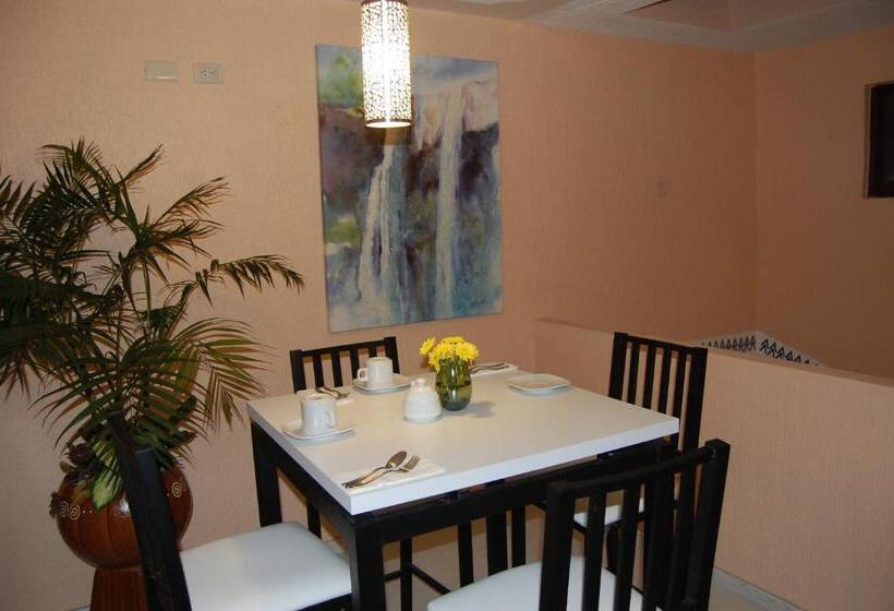 스탠다드 룸, Express Alejandria