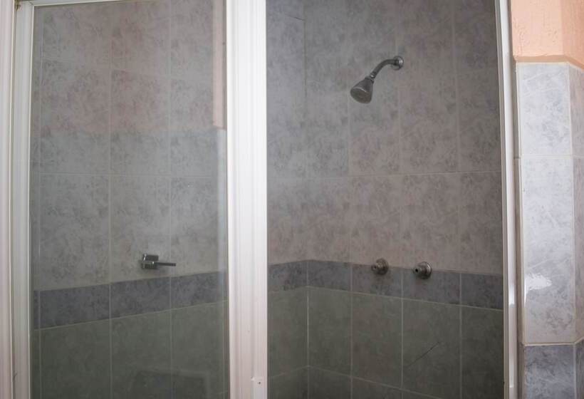 스탠다드 룸, Express Alejandria