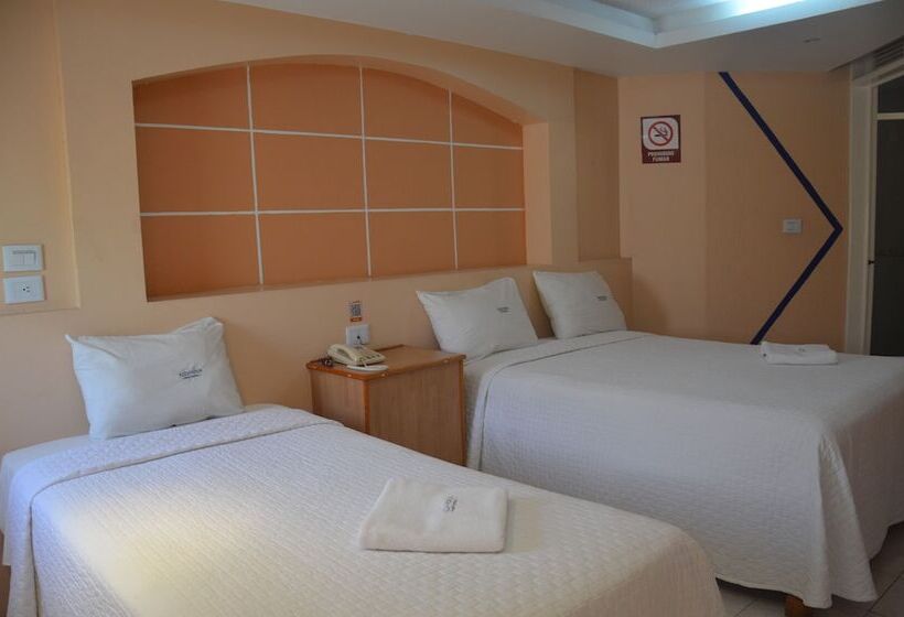 스탠다드 룸, Express Alejandria