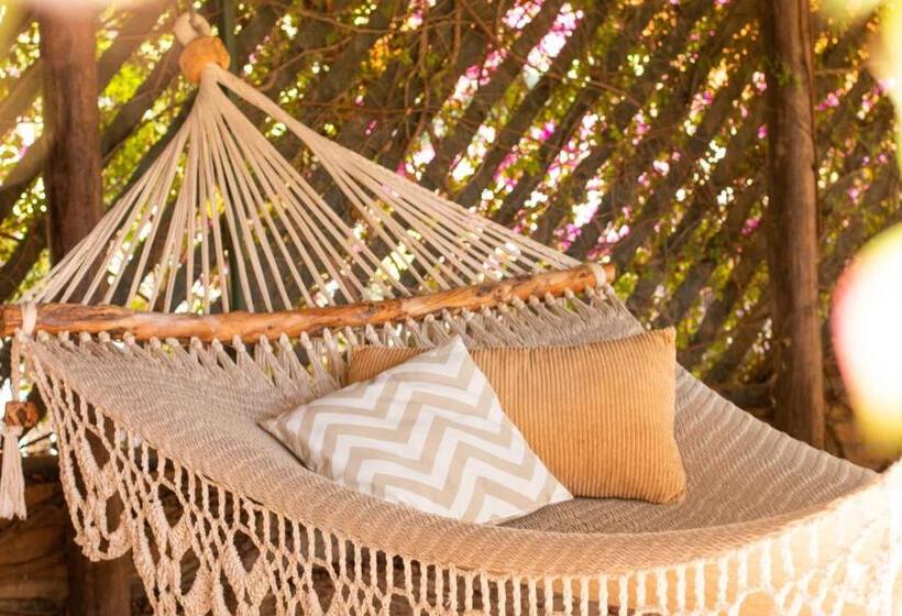 标准工作室, Olas De Cerritos