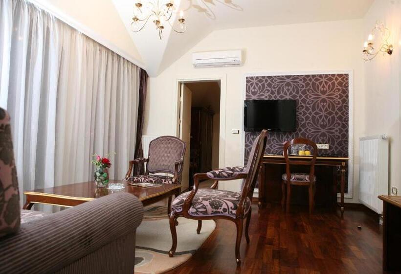 آپارتمان 2 خوابه با بالکن, Villa Viktorija