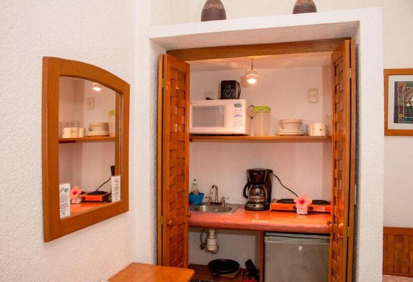 إستوديو قياسى سرير كينج, Villas Mercedes