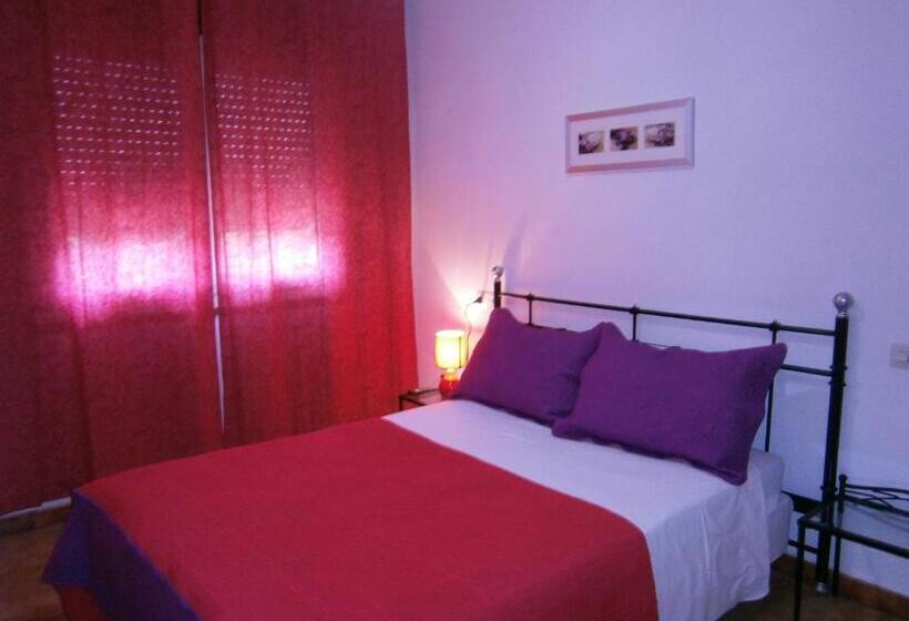 اتاق کلاسیک یک تخته, Hostal Don Pepe