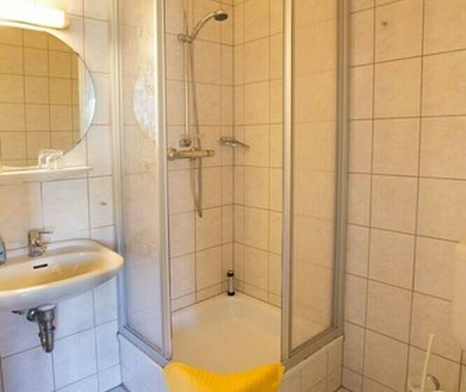 غرفة قياسية فردية, Am Stadtpark Nordhausen