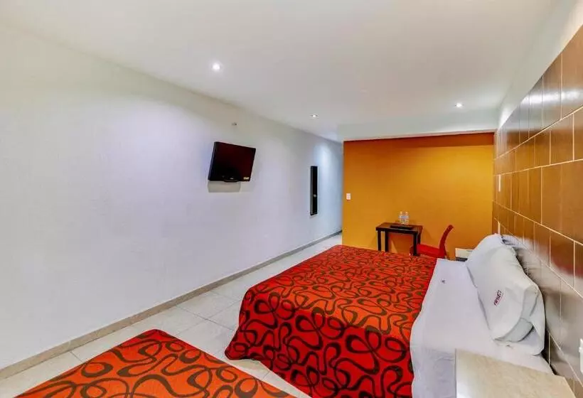Comfort-huone, First Inn Hotel & Business
