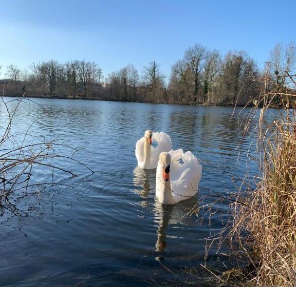 غرفة قياسية, Hôtel De L Ile Du Saussay