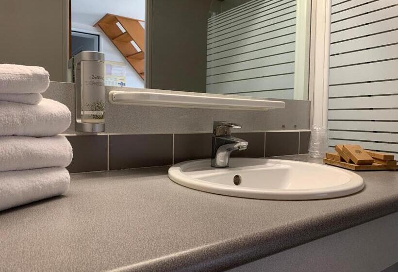 חדר סטנדרט, Hôtel De L Ile Du Saussay