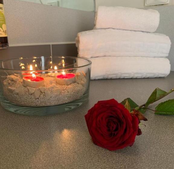 חדר סטנדרט, Hôtel De L Ile Du Saussay