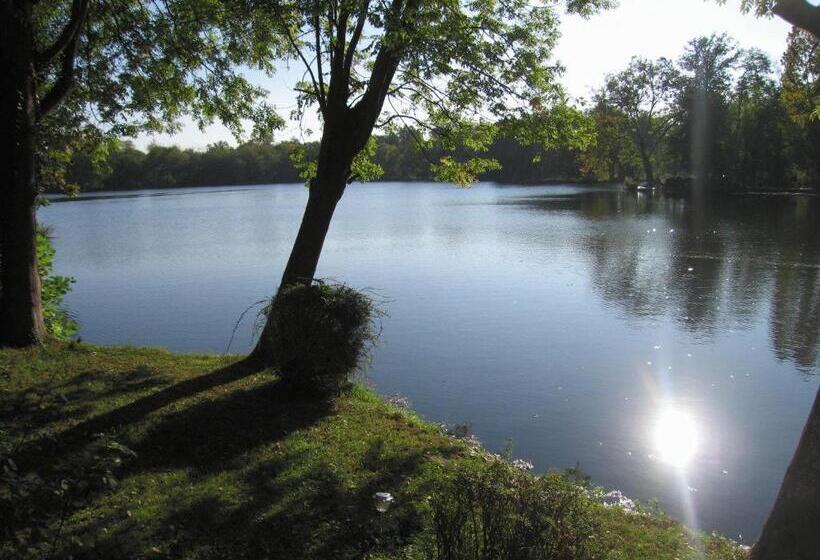 חדר סטנדרט, Hôtel De L Ile Du Saussay