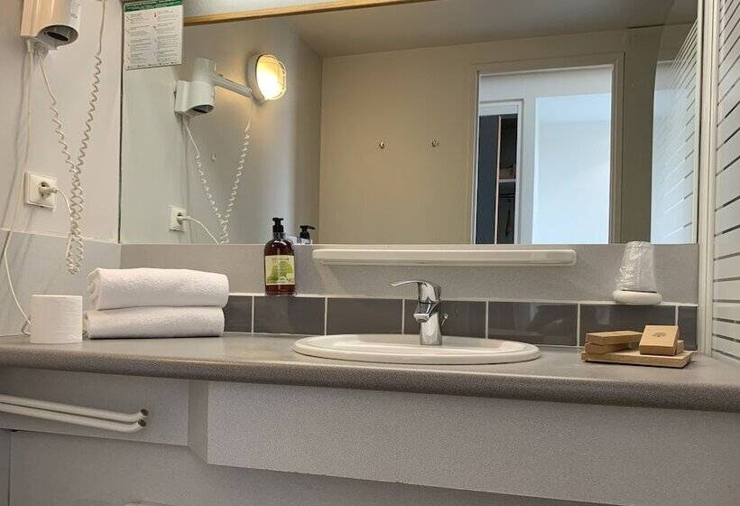 חדר סטנדרט, Hôtel De L Ile Du Saussay