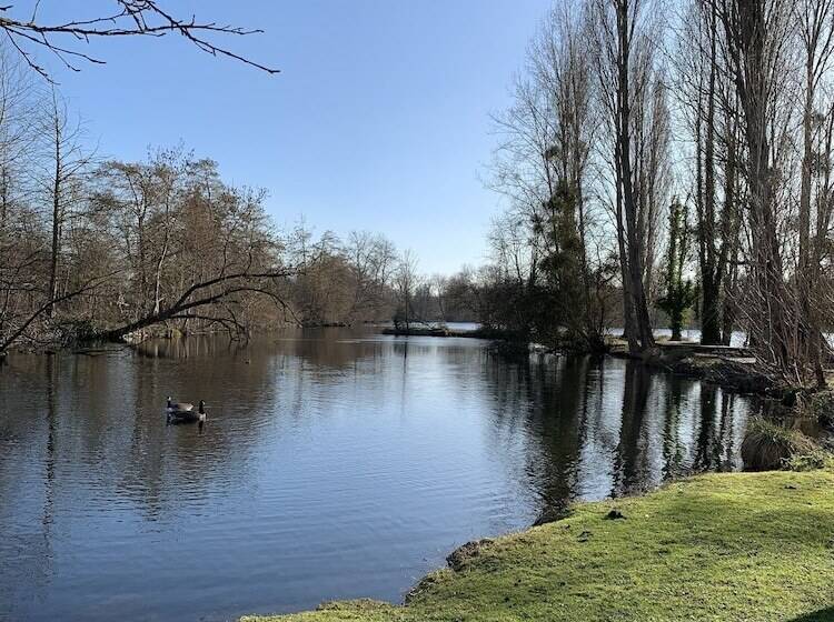 חדר סטנדרט לשלושה, Hôtel De L Ile Du Saussay