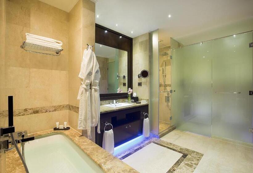 חדר דלוקס נוף בריכה, Royal Maxim Palace Kempinski Cairo