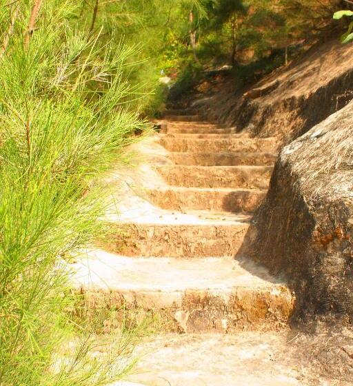 غرفة قياسية مطلّة علي البحر, Seashore Beach Resort Varkala