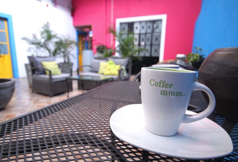 Семейный Номер, Del Refugio