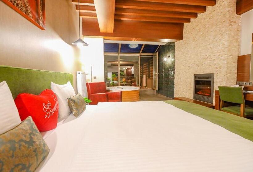 Люкс с гидромассажем, Abant Aden Boutique Hotel & Spa
