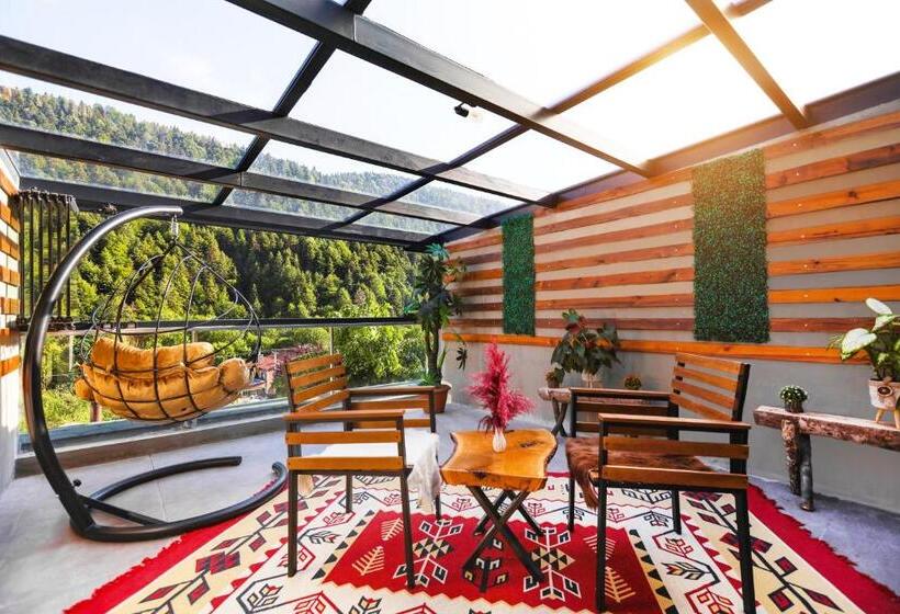 Люкс с гидромассажем, Abant Aden Boutique Hotel & Spa