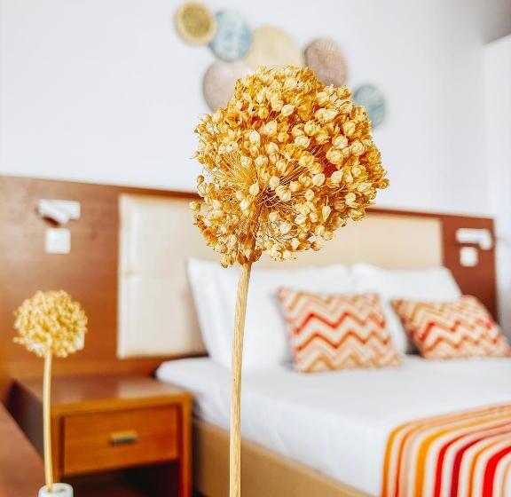 테라스 주니어 스위트, Andromeda Resort