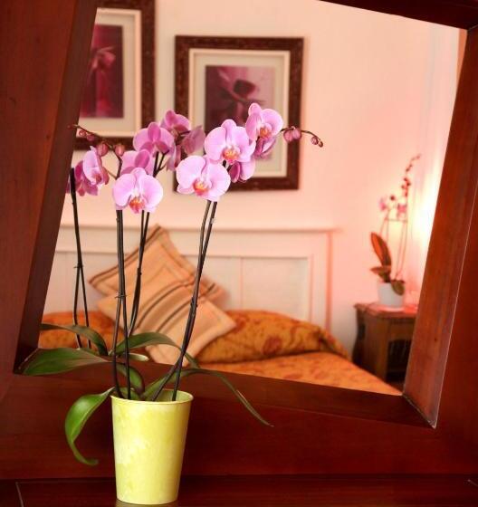 Номер Стандарт Индивидуальный, Castel De Siam