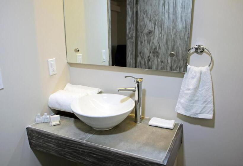 غرفة بريميوم, Sunio City