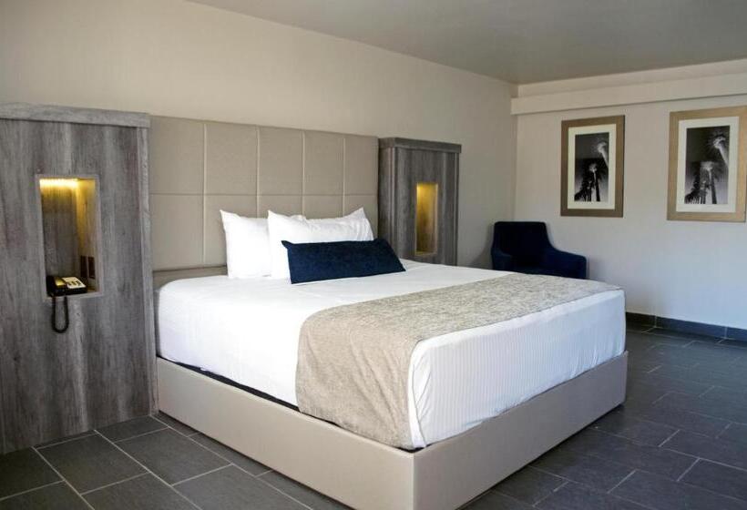 غرفة بريميوم, Sunio City